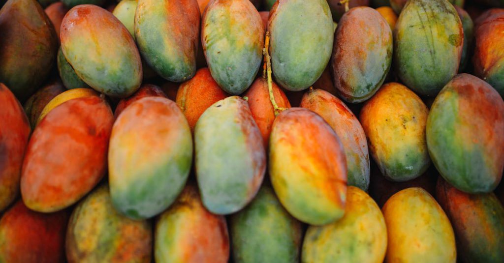 A vibrant collection of ripe mangoes showcasing their colorful natural hues.